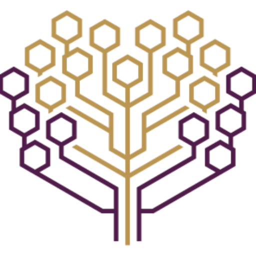 Franquicia Boost Logo